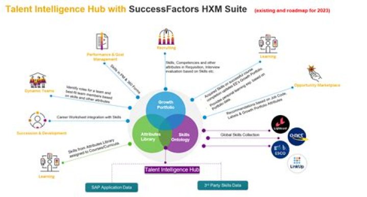A Journey Of Talent, Collaboration, And Success