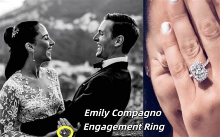 Emily Compagno: Engagement Rumors Unraveled