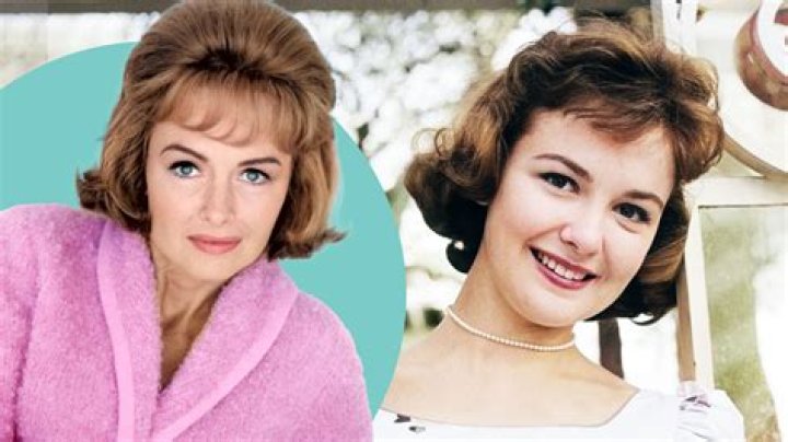 Shelley Fabares: Uncovering Her Present Endeavors