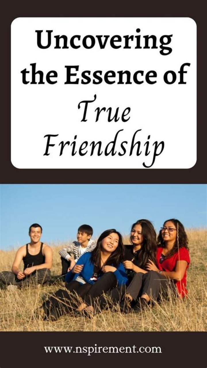 Uncover The Essence Of True Brotherhood