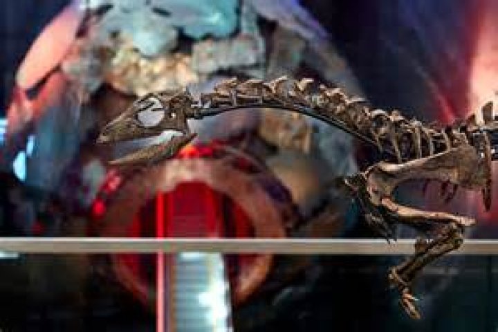 Unveiling The Enigma Of Ashenoff: Discoveries And Insights