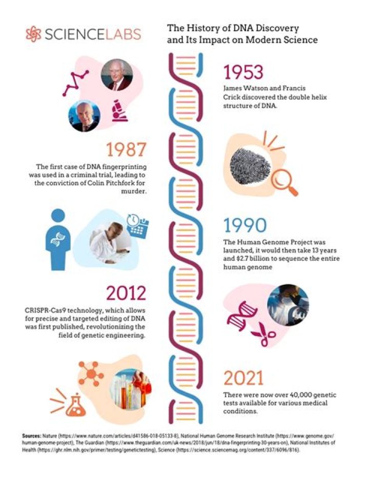 Unveiling The Enigmatic Relationships Of Doug McClure: Discoveries And Insights