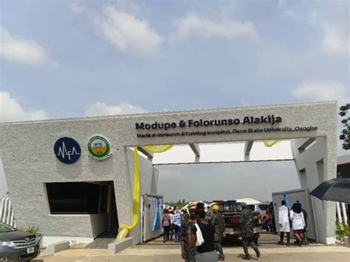 Unveiling The Extraordinary Journey Of Modupe Alakija: Discoveries And Insights