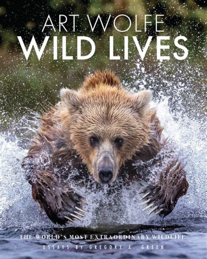 Why Mountain Men Abandoned Their Wild Lives
