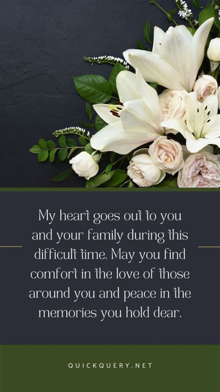 Your Guide To Laughter And Heartfelt Moments