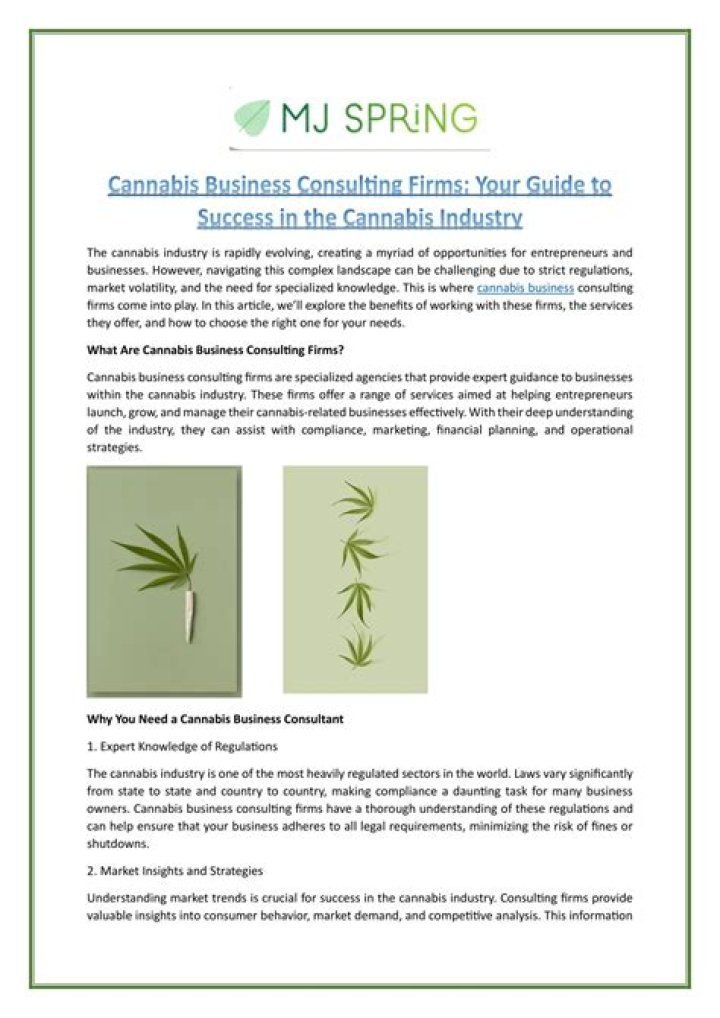 Your Guide To Success In The Cannabis Industry